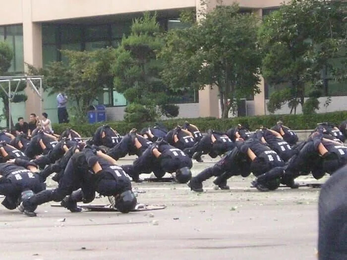 1778678589_7.jpg