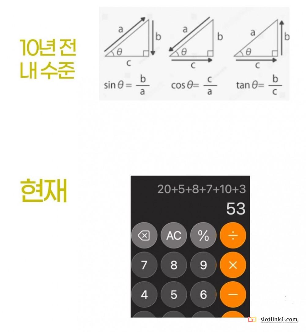 1780222446_1.jpg