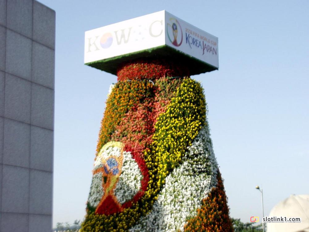 1781229955_23.jpg