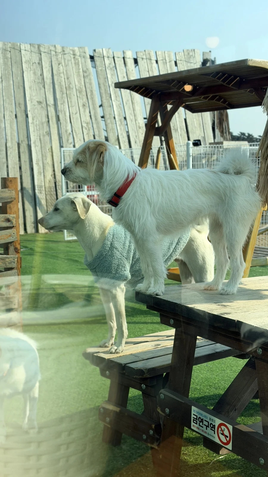 1781381839_12.jpg