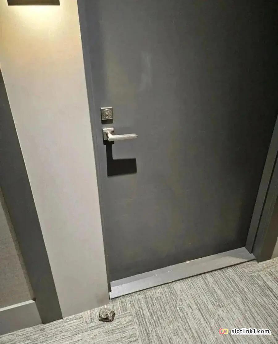 1782141864_1.jpg