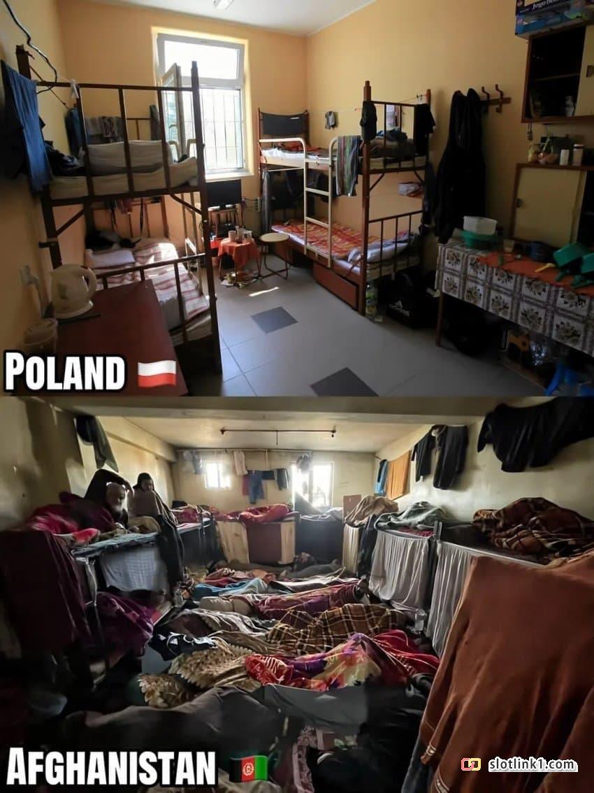 1784389629_4.jpg