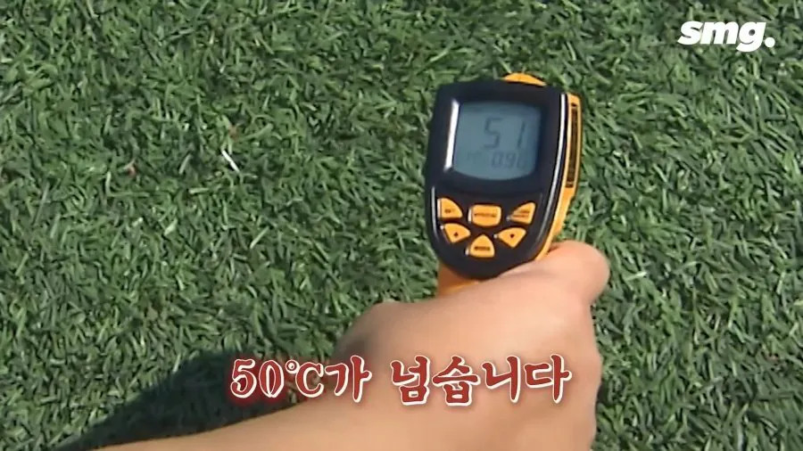 1786191285_2.jpg