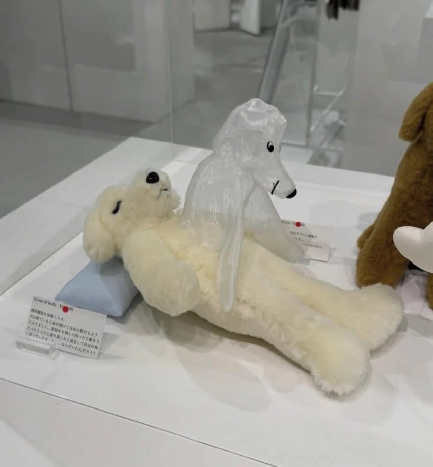 1789567220_4.jpg