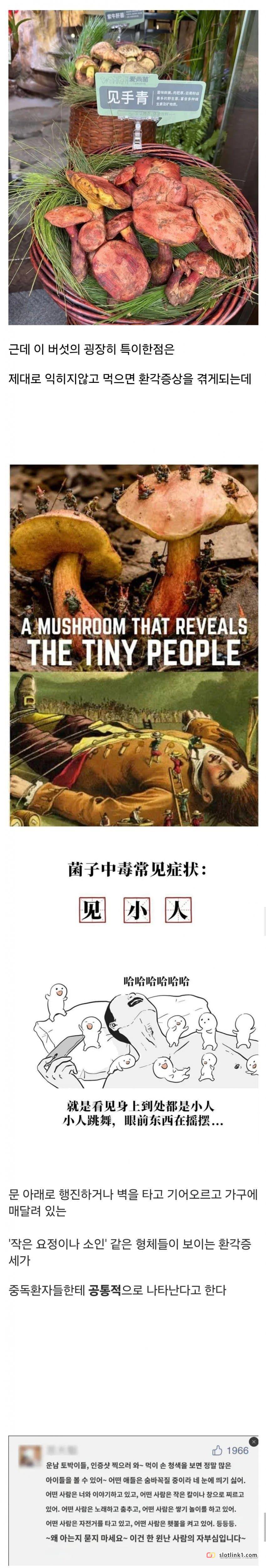 1789979176_1.jpg